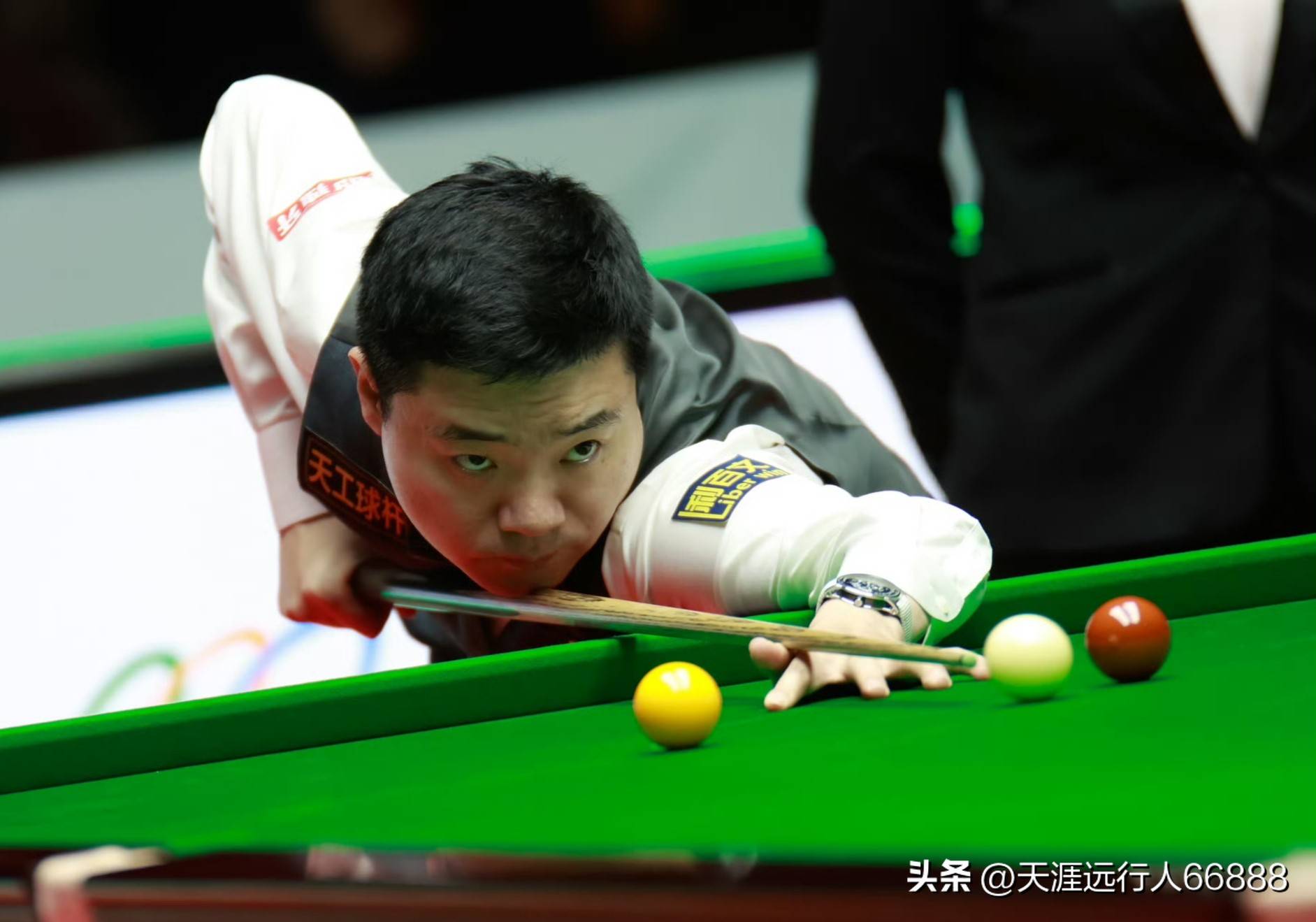 多元化的评 多元化的评