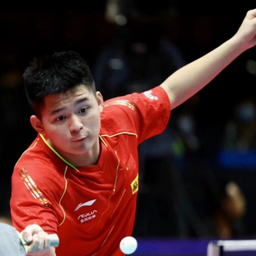 力的正常举 力的正常举